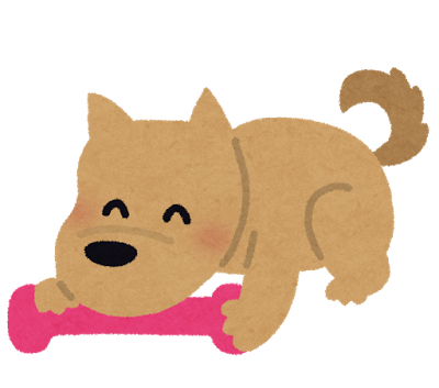 pet_omocha pet_omocha
