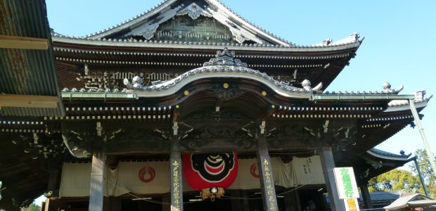 太陽建設から新年のご挨拶。と、皆でお出かけしたよ!